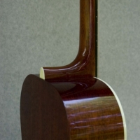 Hauver Guitar Holzapfel custom neck