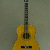 Hauver Guitar Holzapfel custom vintage